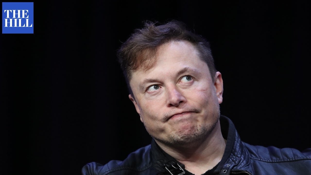 Elon Musk Blasted For Tweeting Adolf Hitler Meme