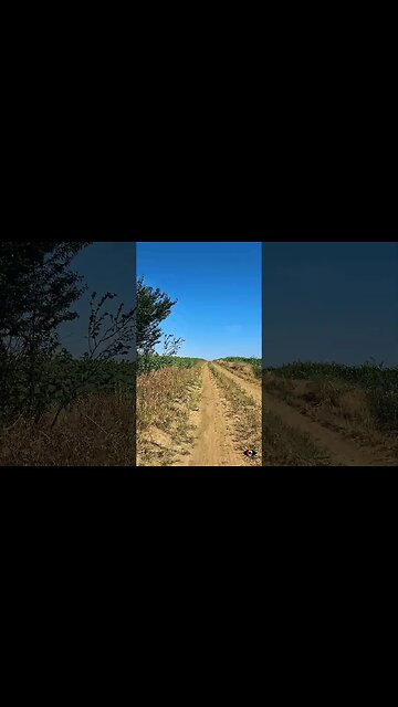 Calugareni - Hulubesti - Singureni XC ride | Soft house music | 4k Virtual Tour | #shorts