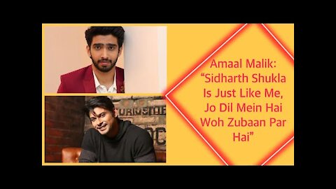 Amaal Malik: &ldquo