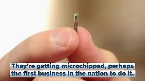 Wisconsin company to become the first to microchip its employees