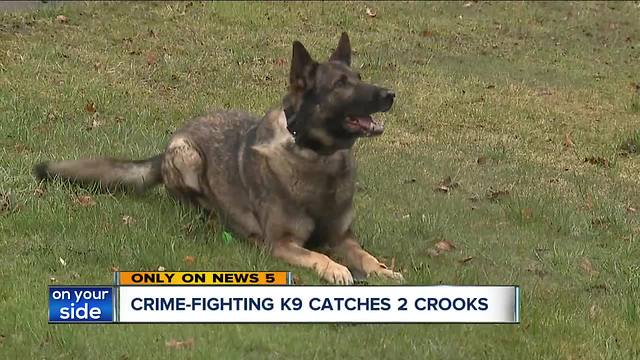 Crime-fighting Mentor Police K9 catches two suspects in one night