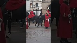 Guards scares horse stamping foot #horseguardsparade