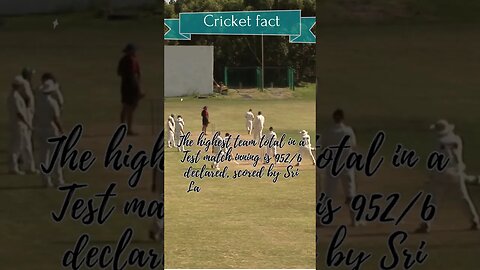 Cricket's Quirky Side: Hilarious Facts You Never Knew #Cricket, #cricketcomedy , #SportsComedy,