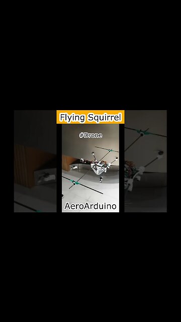 Can't Believe Funny Flying Squirrel #Drone #Flying #Aviation #AeroArduino