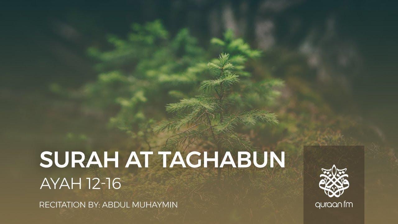 Surah At Taghabun Ayah 12-16 | Abdul Muhaymin