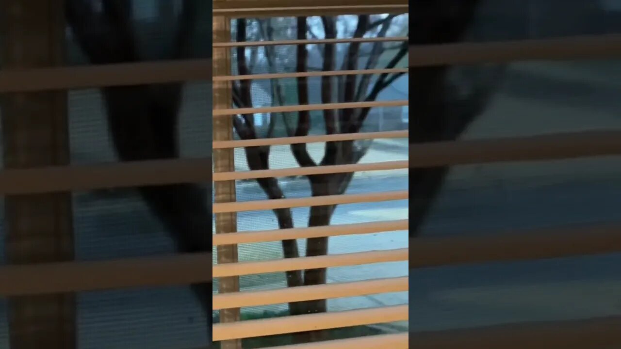 Some Rain ASMR