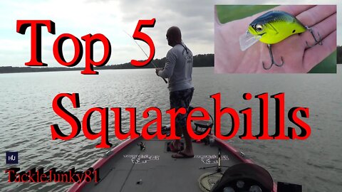 Top 5 Squarebills