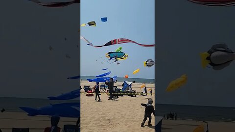 Grand Haven kite festival 2023