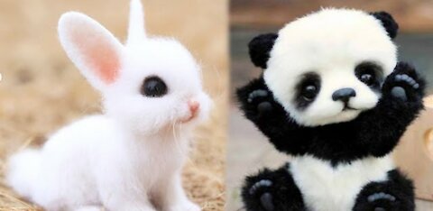 AWW animals So Cute! Cute baby animals videos compilation cute moments of the animals #25