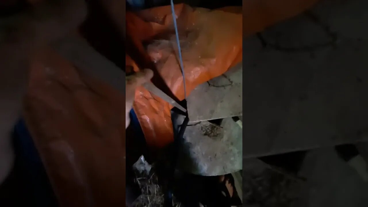 #dryyear #well #ohhighbud #strangedvlog