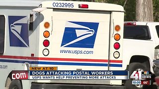 USPS: KC ranks 15th in nation for dog attacks on carriers