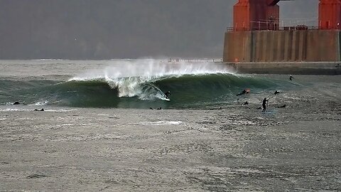 Gigantic Thursday - Fort Point Big and Clean