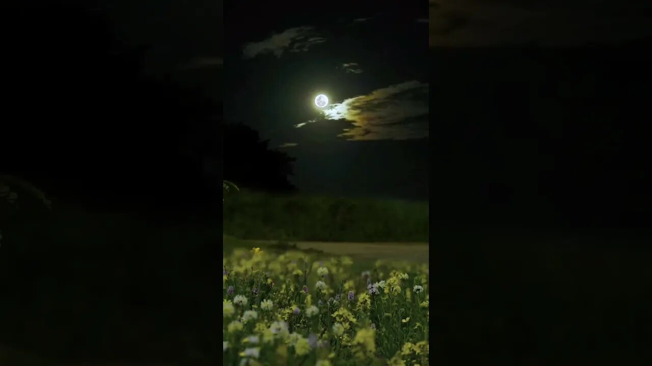 beautiful place 🥰🥰🥰#natural #video #viral #beautiful #songs #shorts #short #youtube