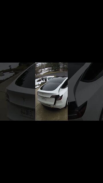 They are for sure Costco chicken street tacos now 🤣