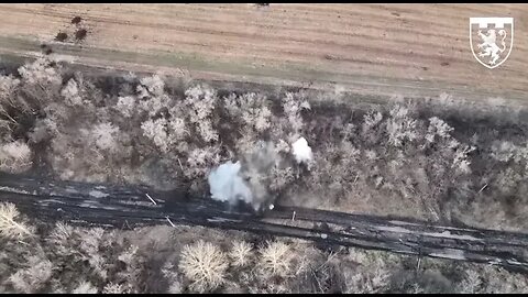 Ukrainian drones in artillery working together