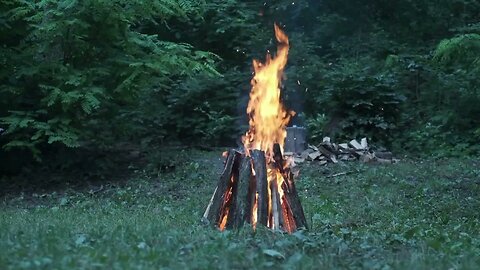 A Relaxing Bonfire in the Woods 🌲🔥