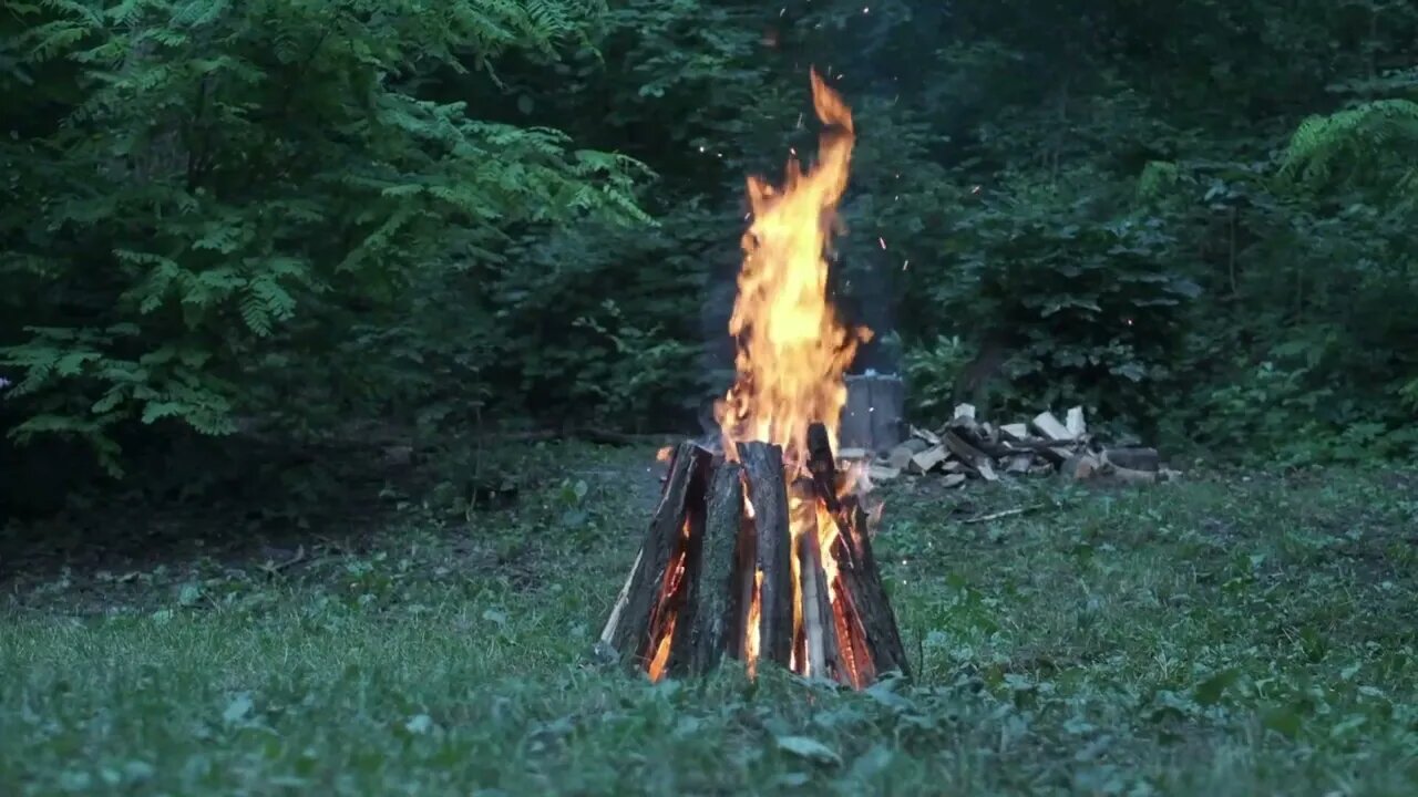 A Relaxing Bonfire in the Woods 🌲🔥
