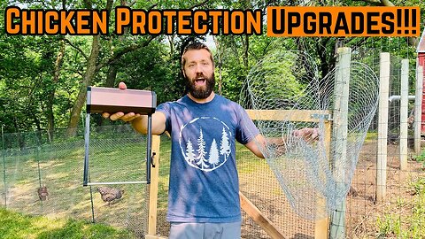 Security UPGRADES To Keep My CHICKENS Safe!!!