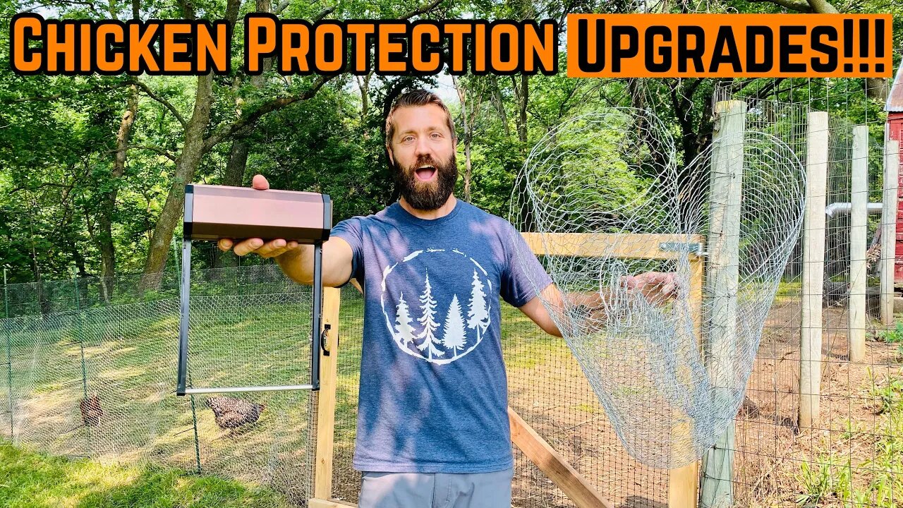 Security UPGRADES To Keep My CHICKENS Safe!!!
