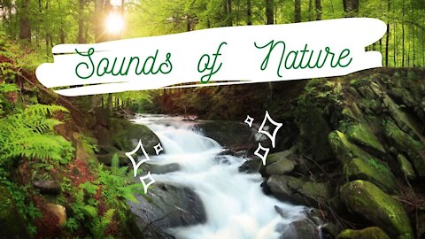 Sounds Of Nature - Relaxing Nature ASMR