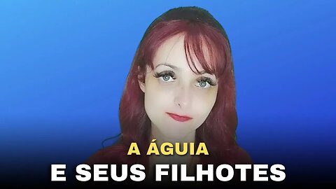 Mensagem para refletir: A águia e Seus filhotes