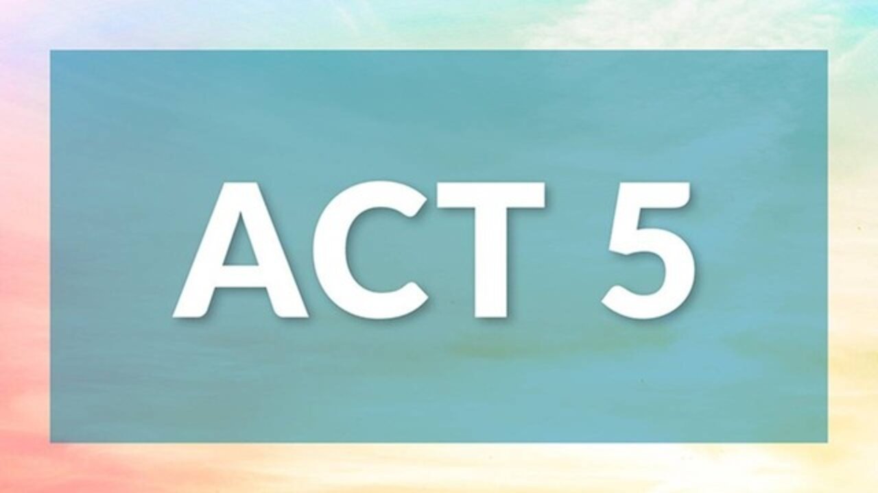 The BraveHeart Emotional Intelligence Masterclass - Act 5 - The Grand Illusion