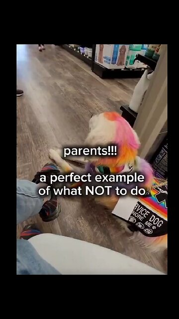 This is just dog abuse with all the dye she put on it. What’s more, why is she whining..