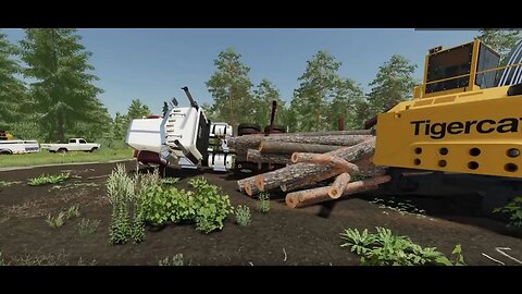 🔴 LIVE FS 22 | Hillibee Creek | new tree physic’s | and terrafarming