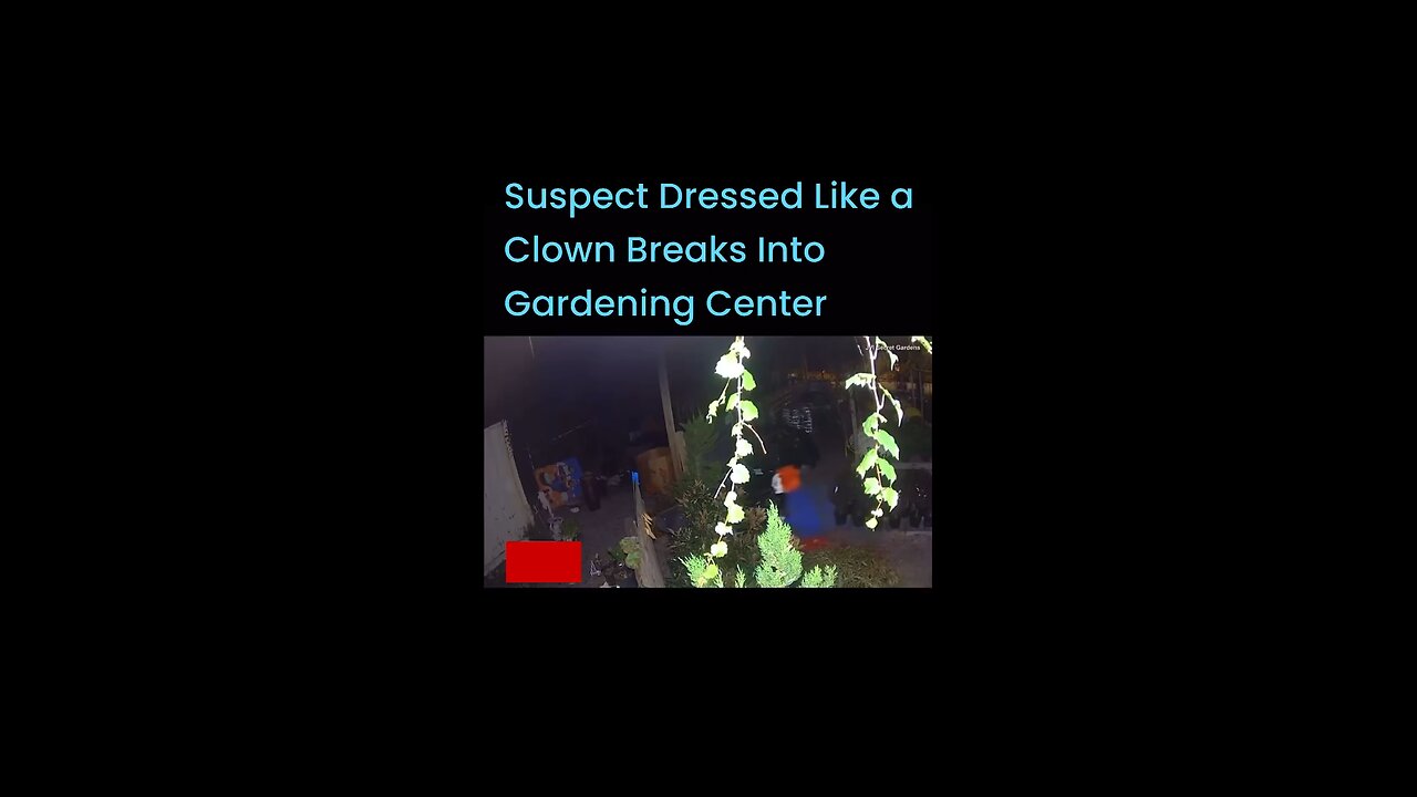 Suspect Dressed Like a Clown Breaks Into Gardening Center