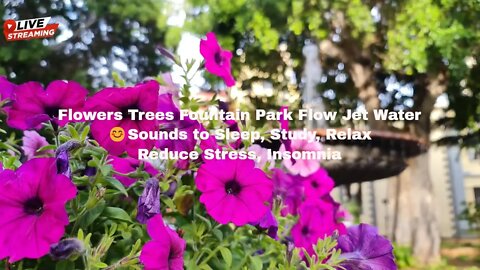 Flowers Trees Fountain Park Flow Jet Water😊Sounds to Sleep, Study, Relax, Reduce Stress, Insomnia