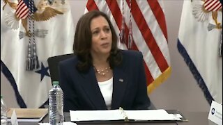 Kamala Blames Trump for Border Crisis: ‘We Inherited a Tough Situation’