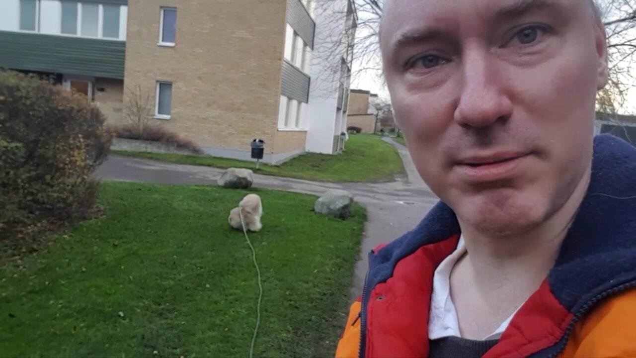 Youtube gör Sun Tzu på sig själv. Curry. Covid-vansinne runt världen. Hur lär vi från musik?