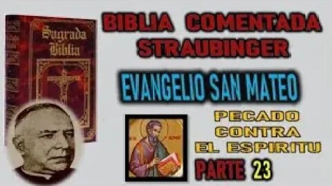 PECADO CONTRA EL ESPIRITU BIBLIA STRAUBINGER EVANGELIO SEGUN SAN MATEO