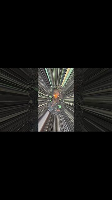 Burning the weed #bubba #gardeningtips #soiltips