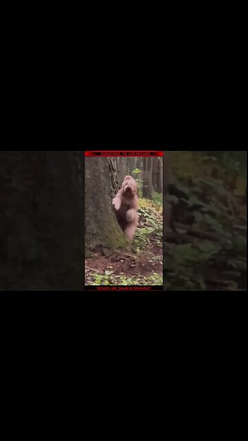 DOGMAN PROVEN AT LAST?