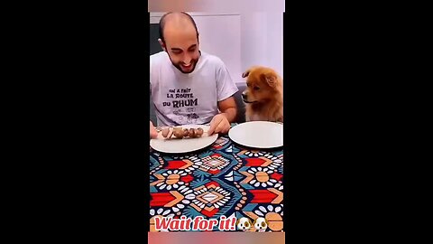 dog food prank