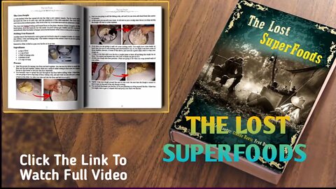 (bestselling product) The Ultimate Survival Foods -The Lost SuperFoods