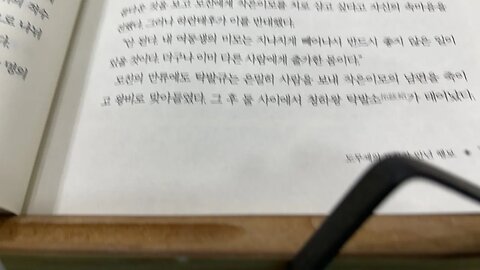 삼국지다음이야기2 신동준 도무제 한식산 하란태후 작은이모 청하왕탁발소 남조 송문제 원가지치 둔전제 분토정거북위 천사 식봉 식읍 선비족 원가문학 유의경 사령운 포조 도연명 태자