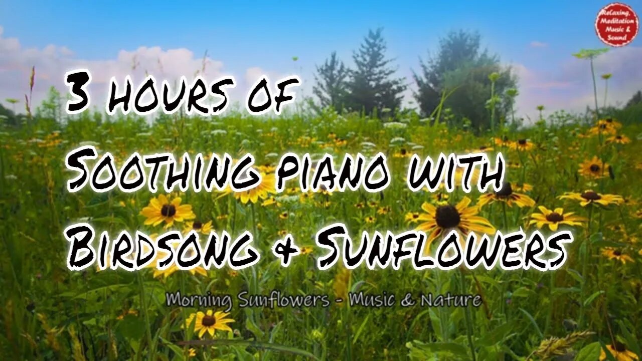 Soothing music with piano and birds singing for 3 hours, relaxation music for meditation & yoga