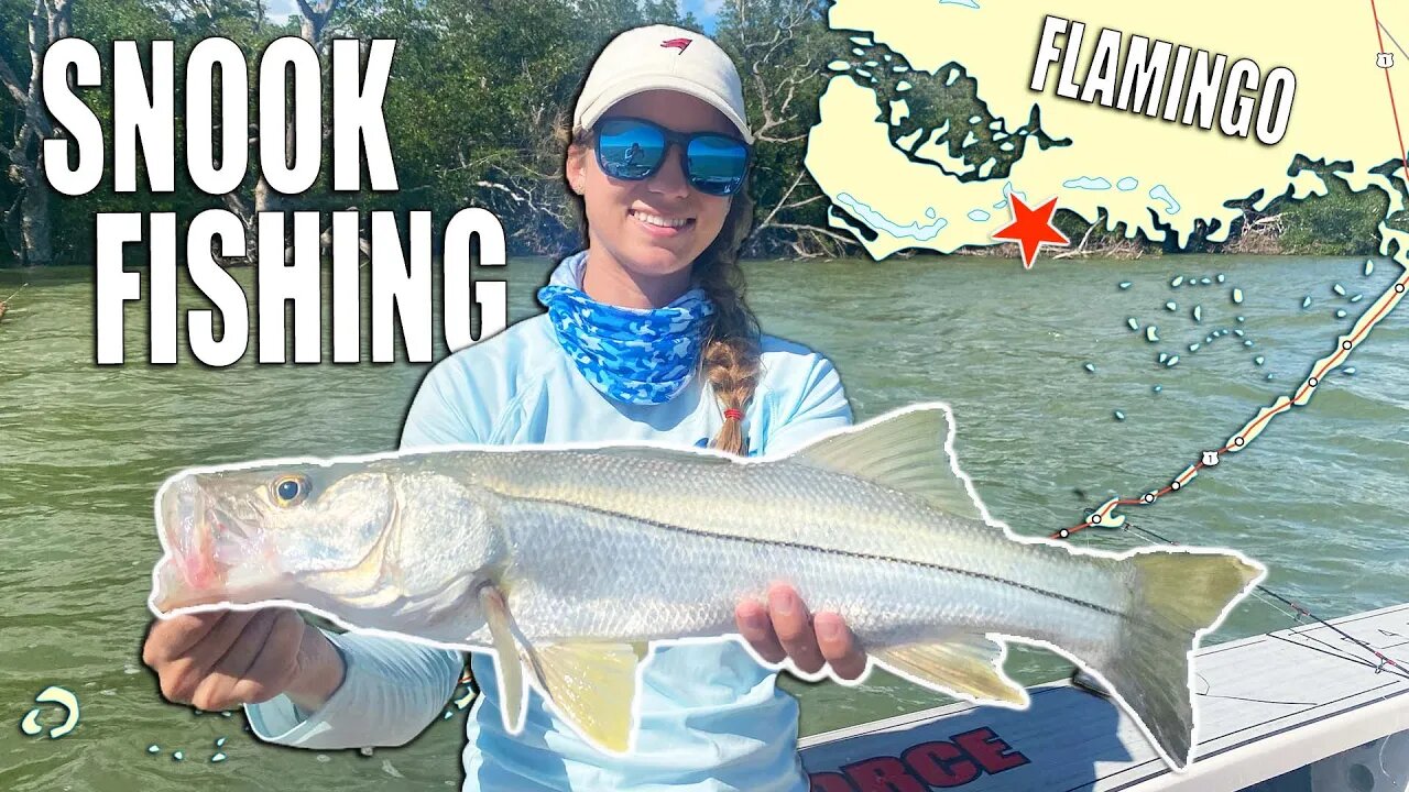 A Christmas Fishing Adventure - Searching for Inshore Snook