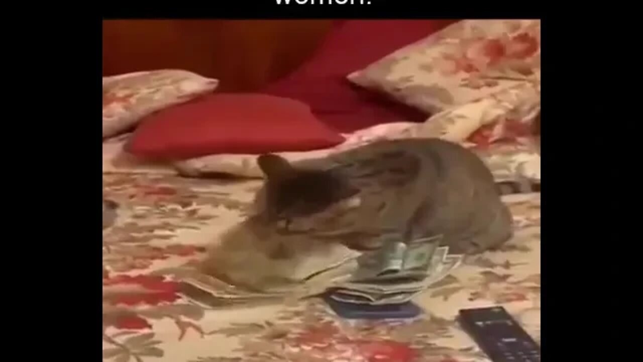 ۳ دسامبر ۲۰۲۲