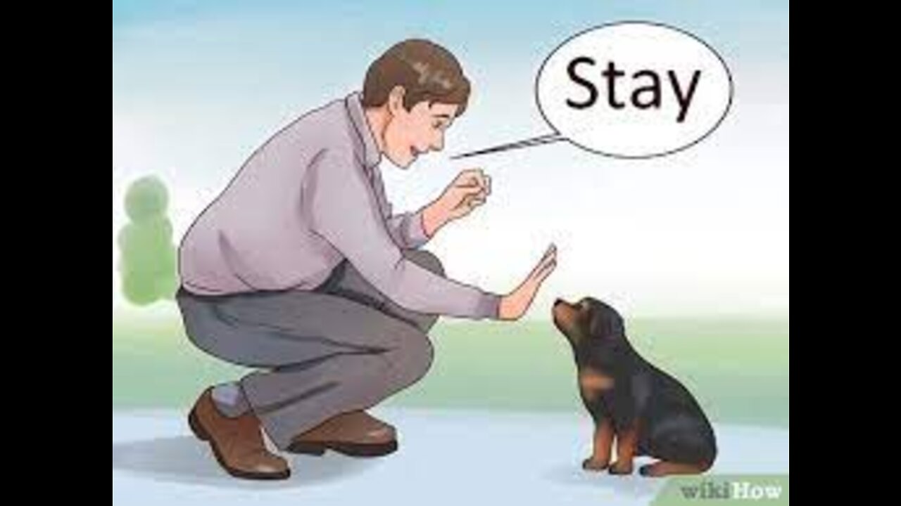 TRAINING OF SPEAK COMMAND HOW TO TRAIN YOUR DOG TO SPEAK BARKING COMMAND ROTTWEILER