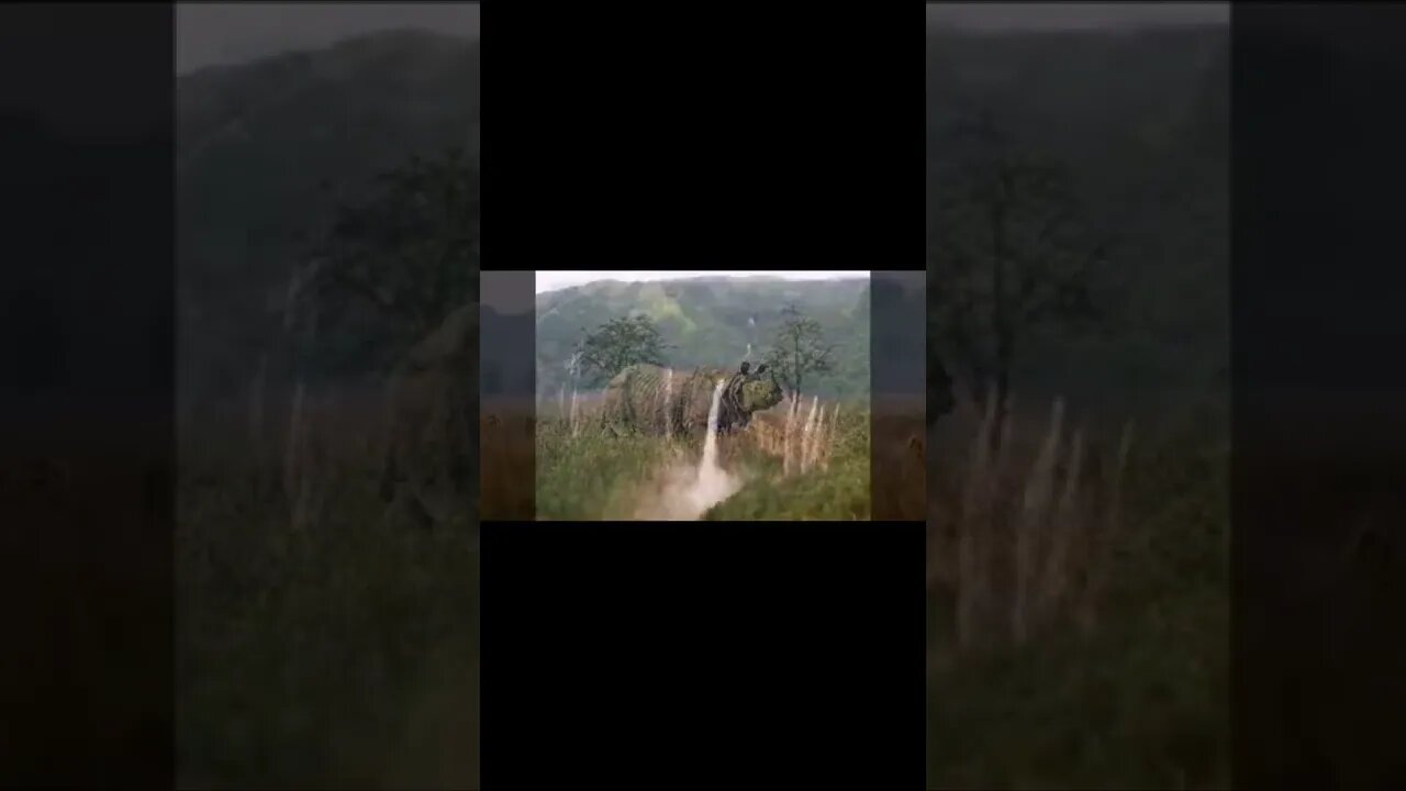 Natural picture of Assam