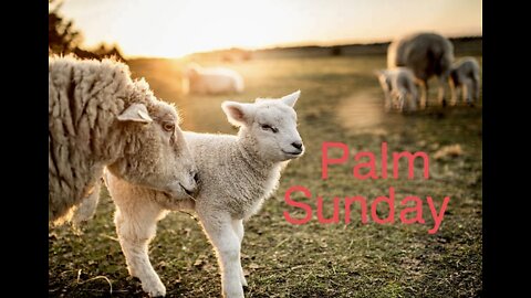 Palm Sunday-Sunday Message 4/10/22- Shane Bost