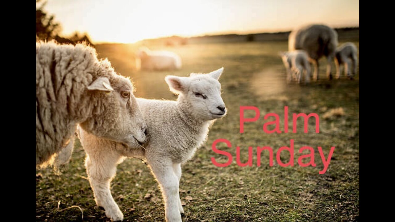Palm Sunday-Sunday Message 4/10/22- Shane Bost