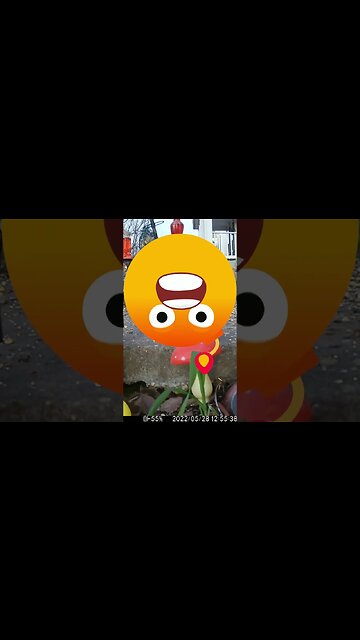 A Ticking Timebomb Visits #Shorts 💣