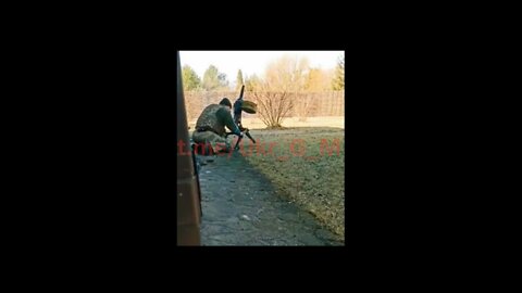 Battle-cat gets spooked
