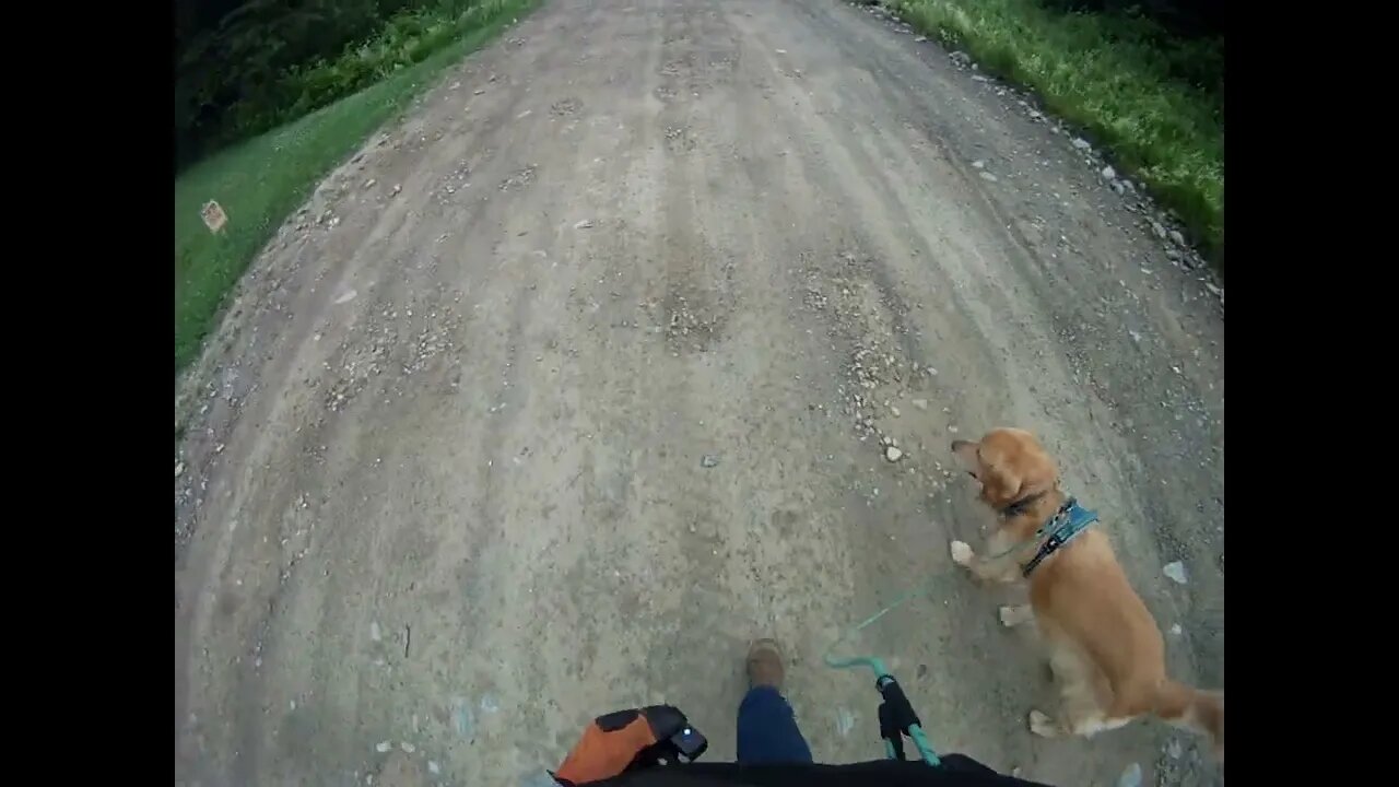 July 8th, 66º uncomfortably humid. Flynn and I make the sojourn to Prentiss.