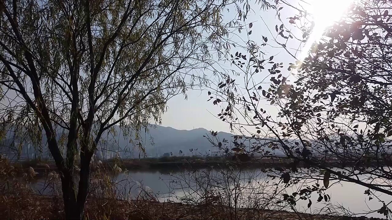 A lake located in the forest.