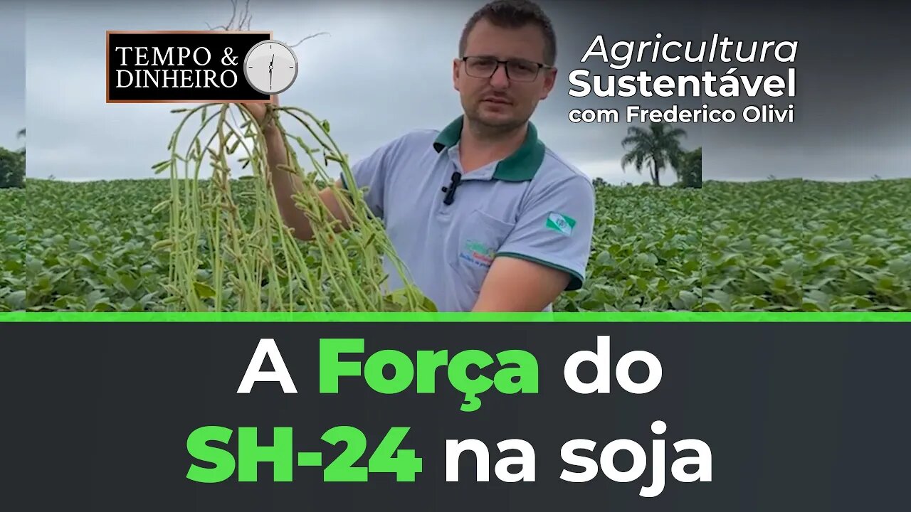 A Força do SH-24 na soja